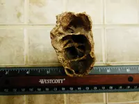 DSCN1337.webp
