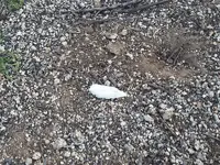20140413_182951.webp