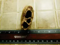 DSCN1342.webp