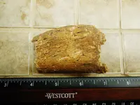 DSCN1338.webp