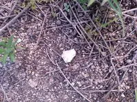 20140413_183931.webp