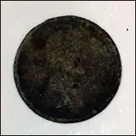 Penny.webp