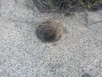 20140413_184449.webp 20140413_184449.webp