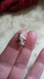 cave arrowhead.webp