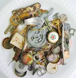 trash.webp