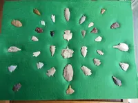 DSCN1233.webp