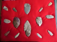 DSCN1241.webp