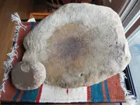DSCN1243.webp