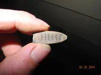 DSCN0063.webp
