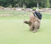 NEWS sasquatch CROP copy(1).webp