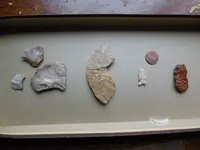 DSCN1440.webp
