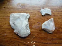 DSCN1441.webp