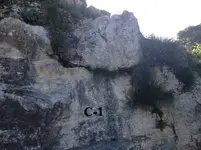 C-1.webp