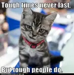 toughkitty.webp