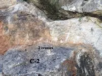 C-2.webp