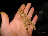 DSCN0069.webp