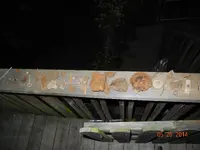 DSCN0070.webp