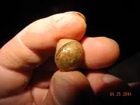 DSCN0072.webp