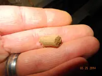 DSCN0077.webp