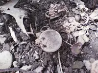 Pocket Watch silver.webp