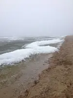 image-189035534.webp