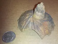 2014-04-27 07.25.29.webp