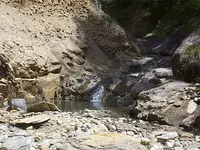 DCP02866.webp DCP02866.webp