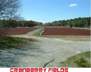 DSCF2912.webp