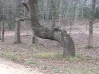 20140105_133629.webp
