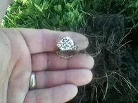 Nugget ring 2.webp