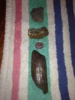 image-2054141056.webp