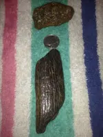 image-3517508832.webp