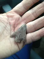 image-2477161585.webp