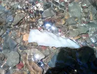 DSCF0015 (1024x780).webp