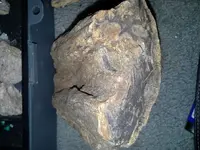 20140304_175605.webp
