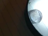 penny 1926 2.webp