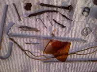 IMG-20120818-00285.webp