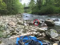 image-2933608188.webp