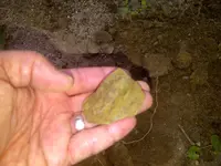 IMG-20120913-00324.webp
