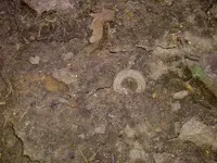 IMG-20120913-00343.webp