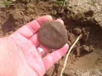 IMG-20120914-00350.webp