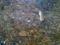 DSCF0020 (1024x767).webp