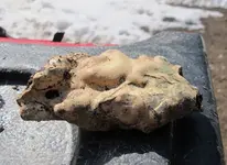 Pumice 6.webp Pumice 6.webp