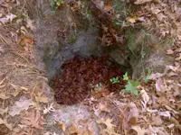 IMG-20121209-00487.webp