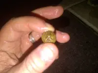 IMG-20121209-00493.webp