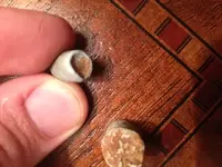 bullets 3.webp