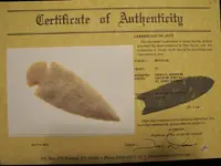 dove 549 2 mine.webp