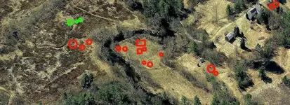 CG RO 1-angifogg.webp