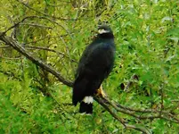 DSCN1248.webp