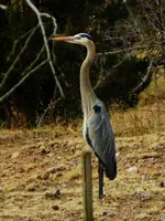 DSCN0353.webp
